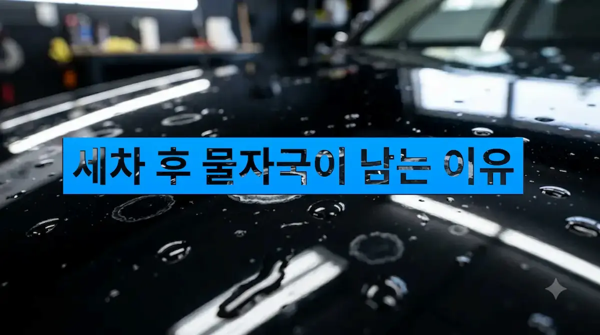 세차 후 물자국이 남는 이유 워터스팟 생기는 이유