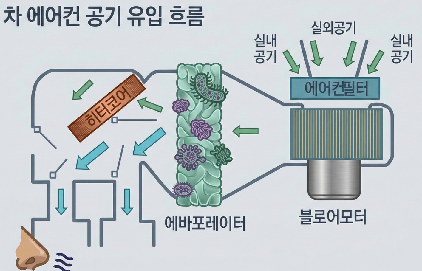 에바 에어컨 필터 교체와 에바크리닝의 차이를 설명하는 이미지